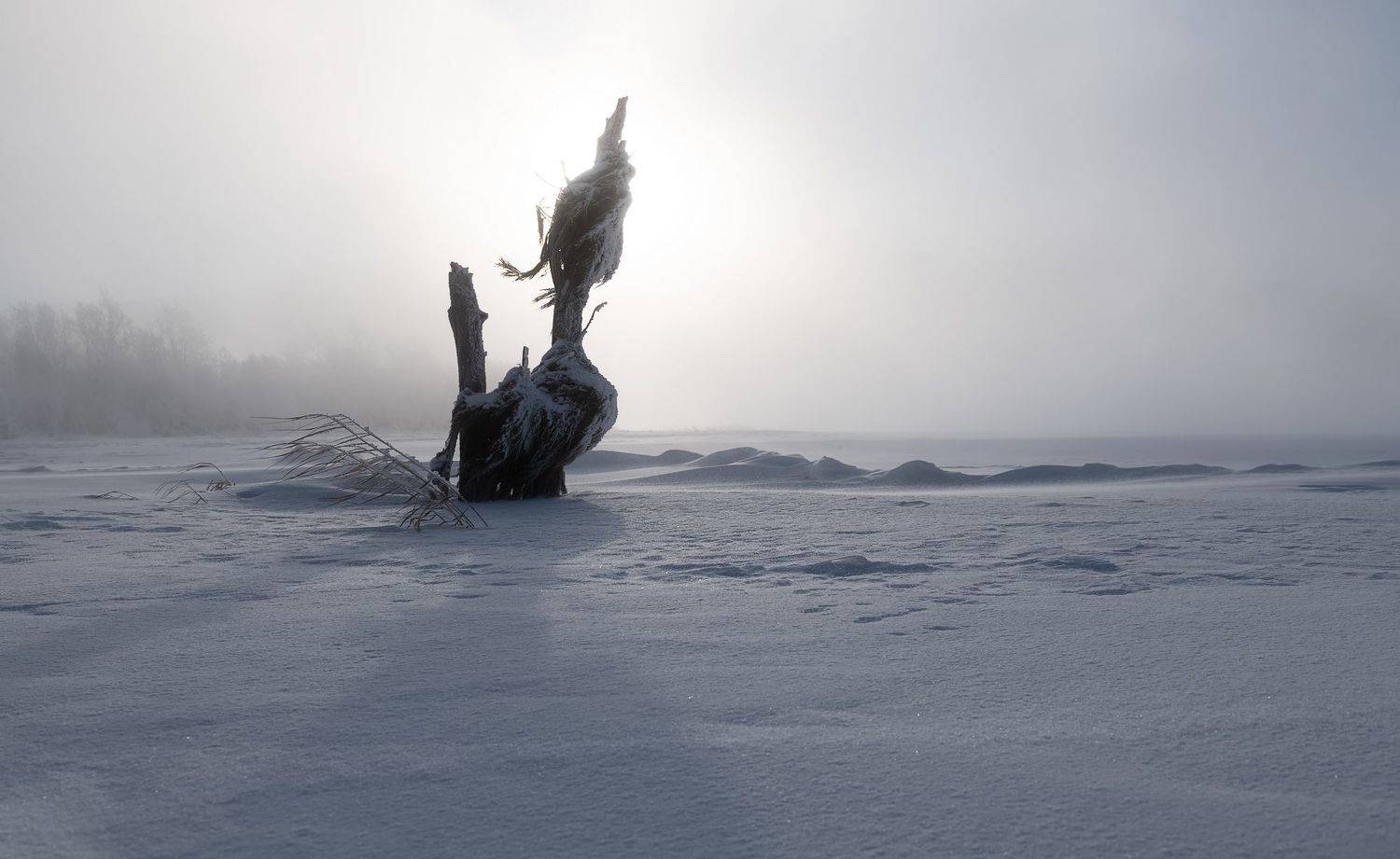 берег, енисей, мороз, метель,, Марина Фомина