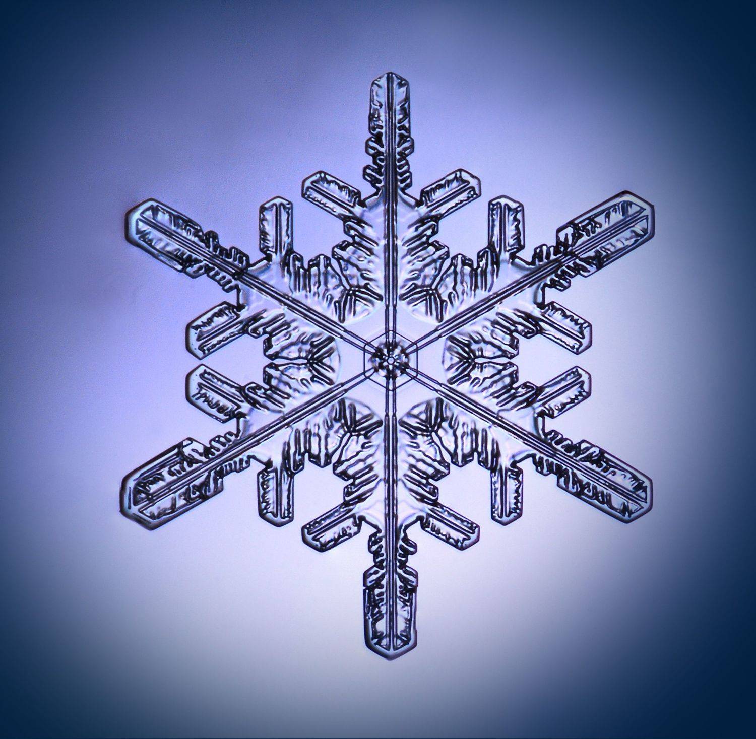 , Борис Риганов