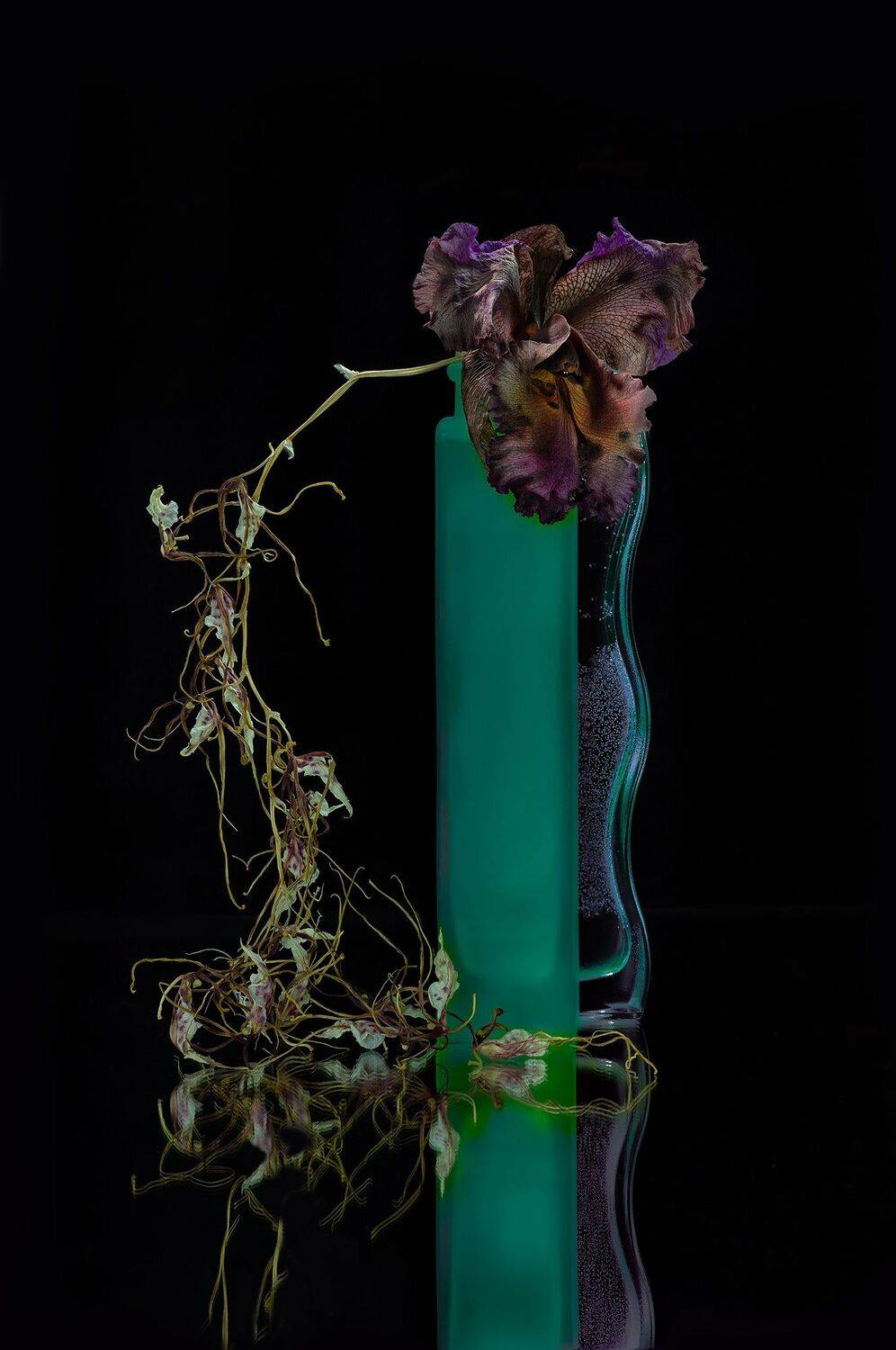 , Черновол Валентин