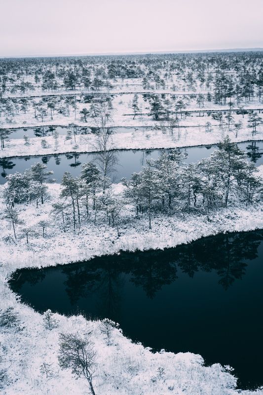 winter, sky, outdoor, new, frost, cover, environment, natural, snowy, beautiful, frozen, ice, forest, season, snow, nature,  Cold winter landscape frozen snow swamp Kemeri фото превью