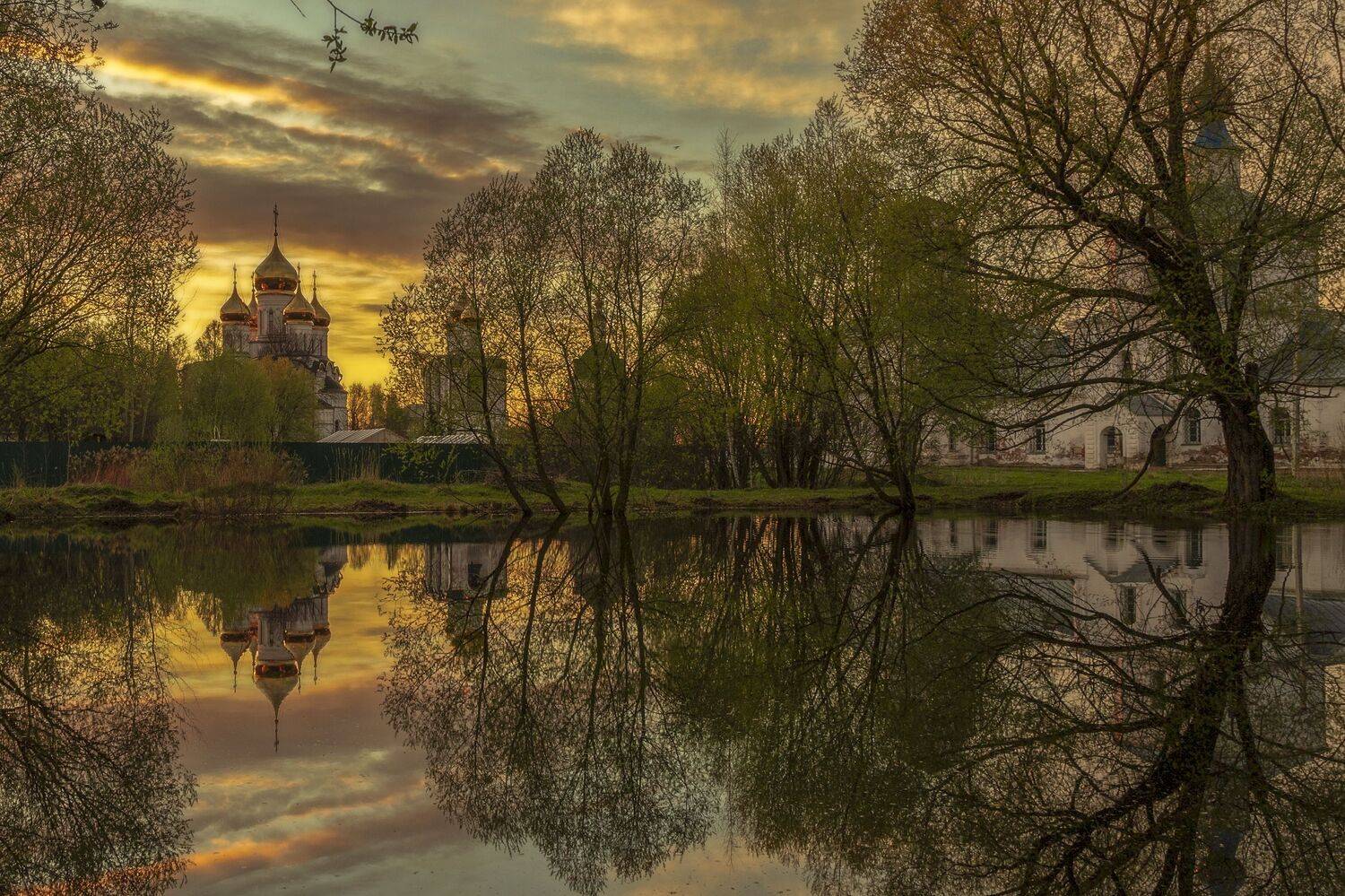 Ярославская область, Гусева Елена