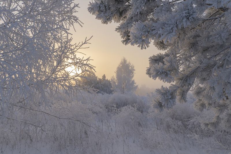В зимней сказке фото превью