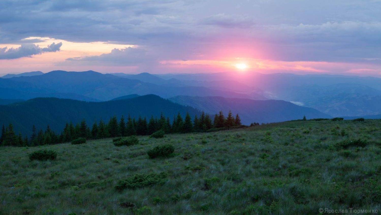 , Ярослав Тюрменко (Jaremi)