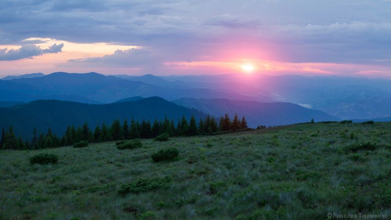 *** фото превью