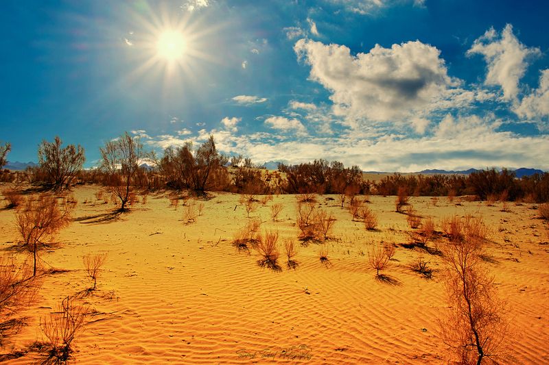 Golden Time фото превью