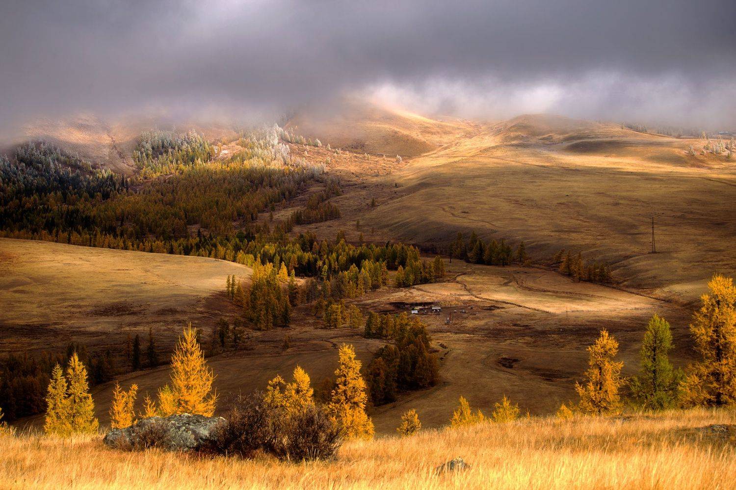 , Юрий Столыпин