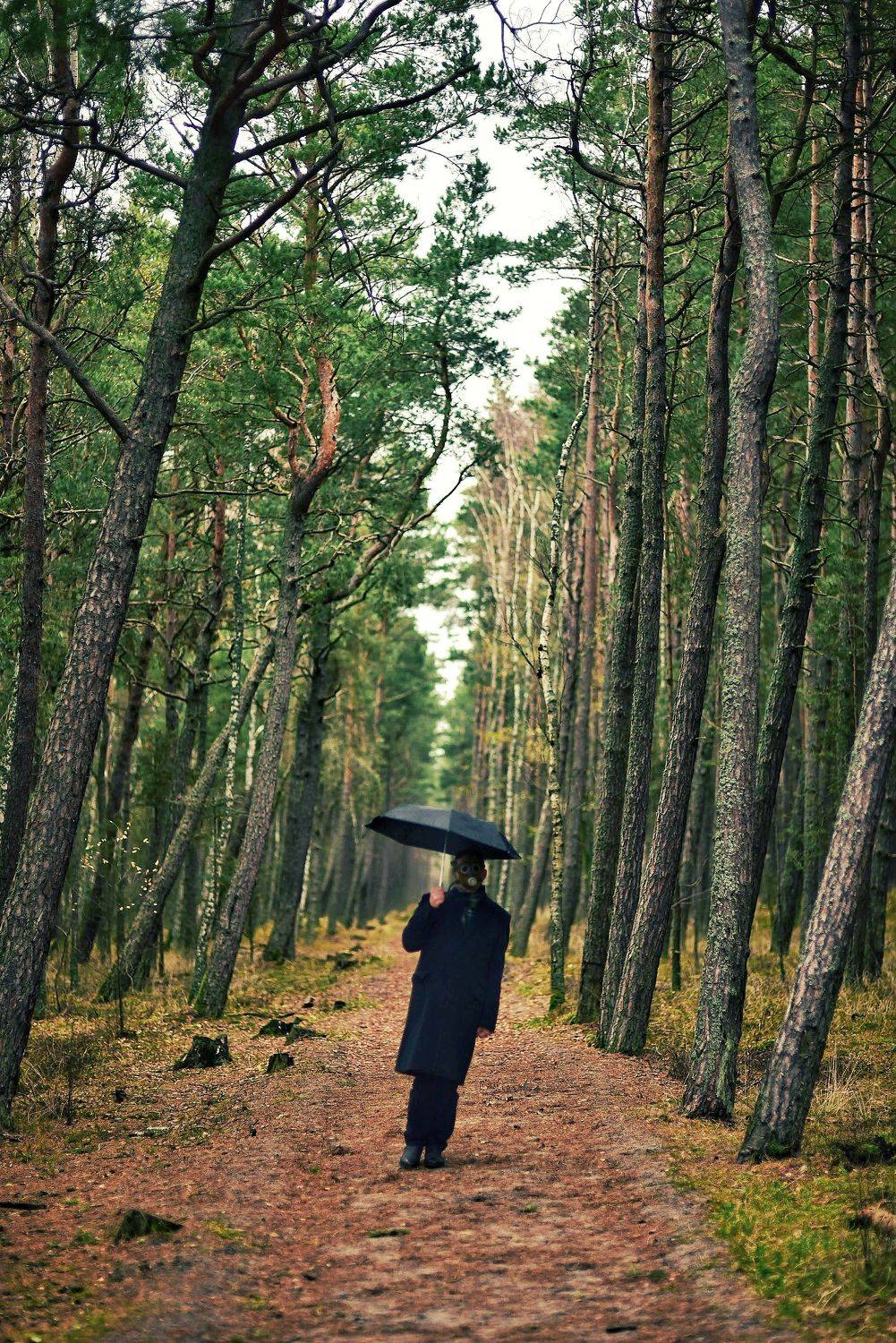 , Владимир Леликов-Кузьменко