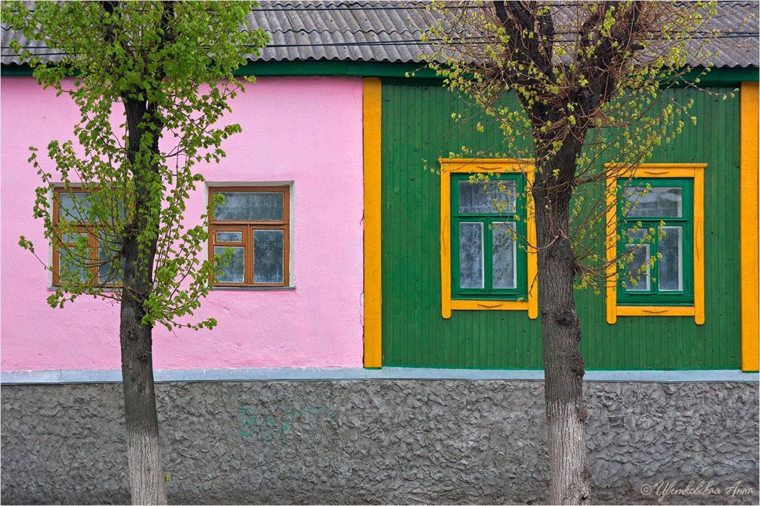 окошки, дом, Анна Цветковская