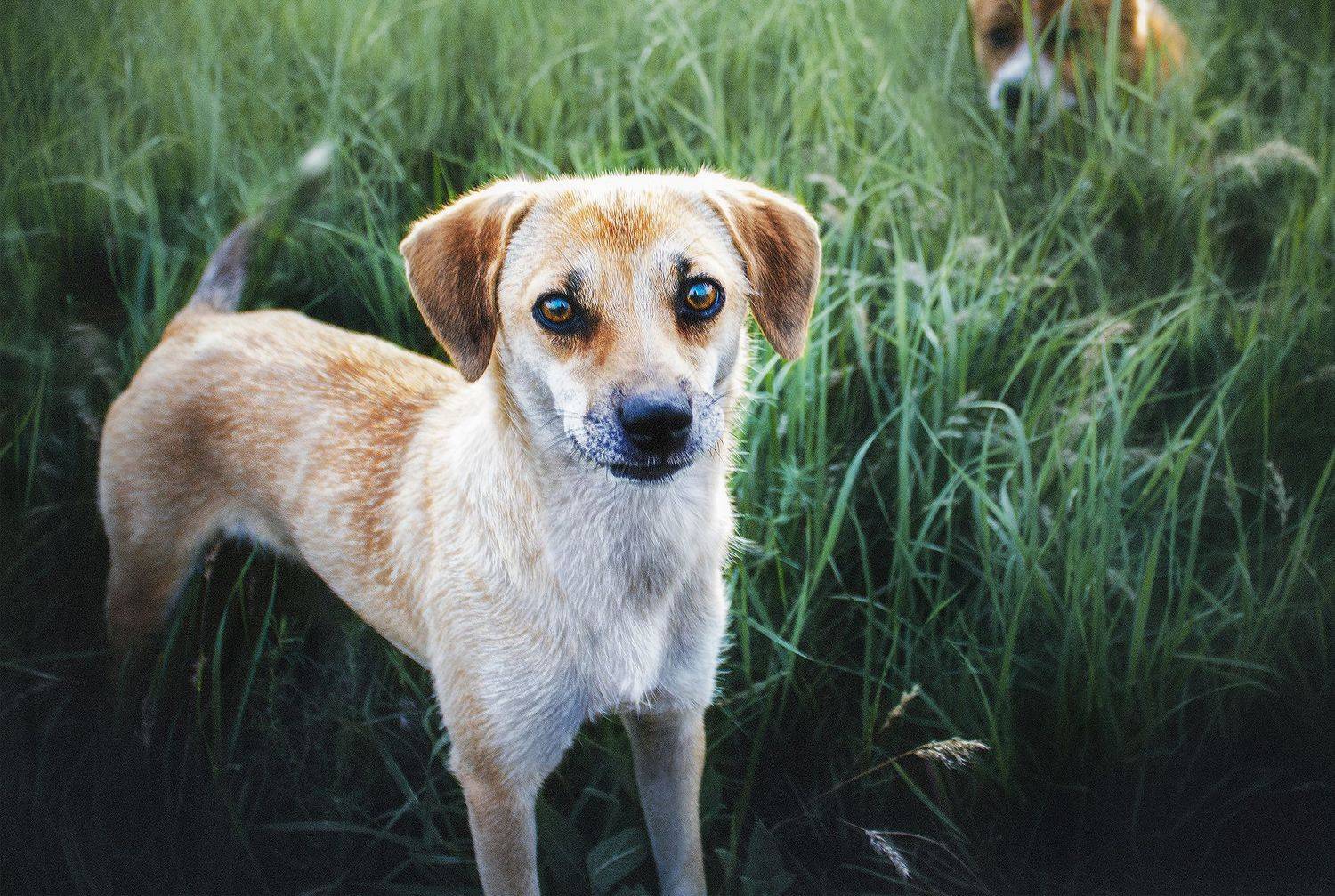 , Влад Епифанов