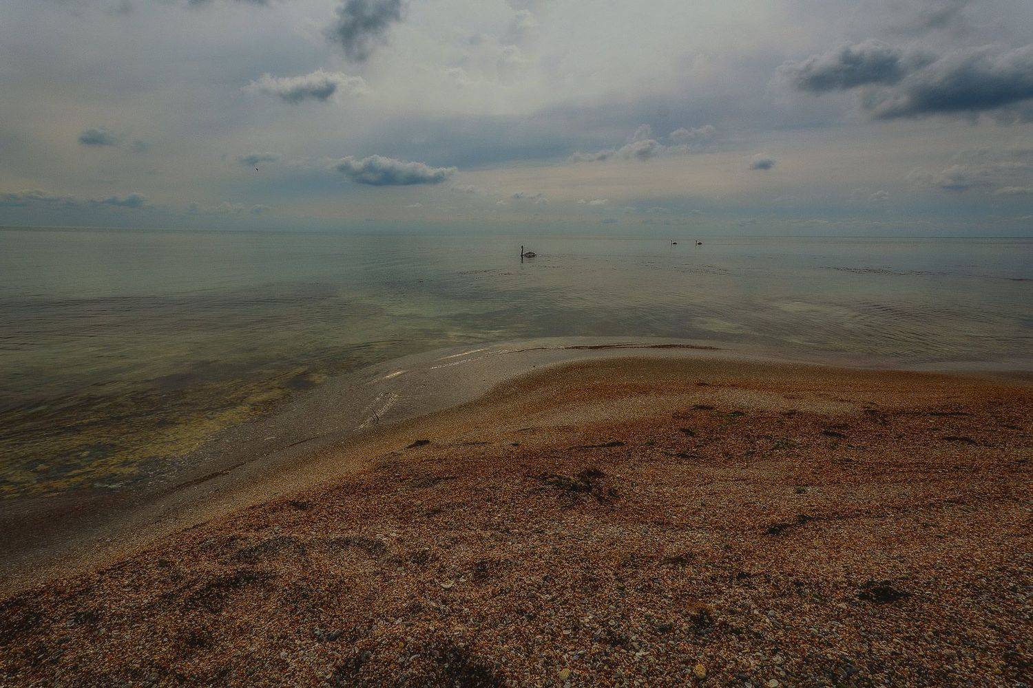 , Владимир Гамаюнов