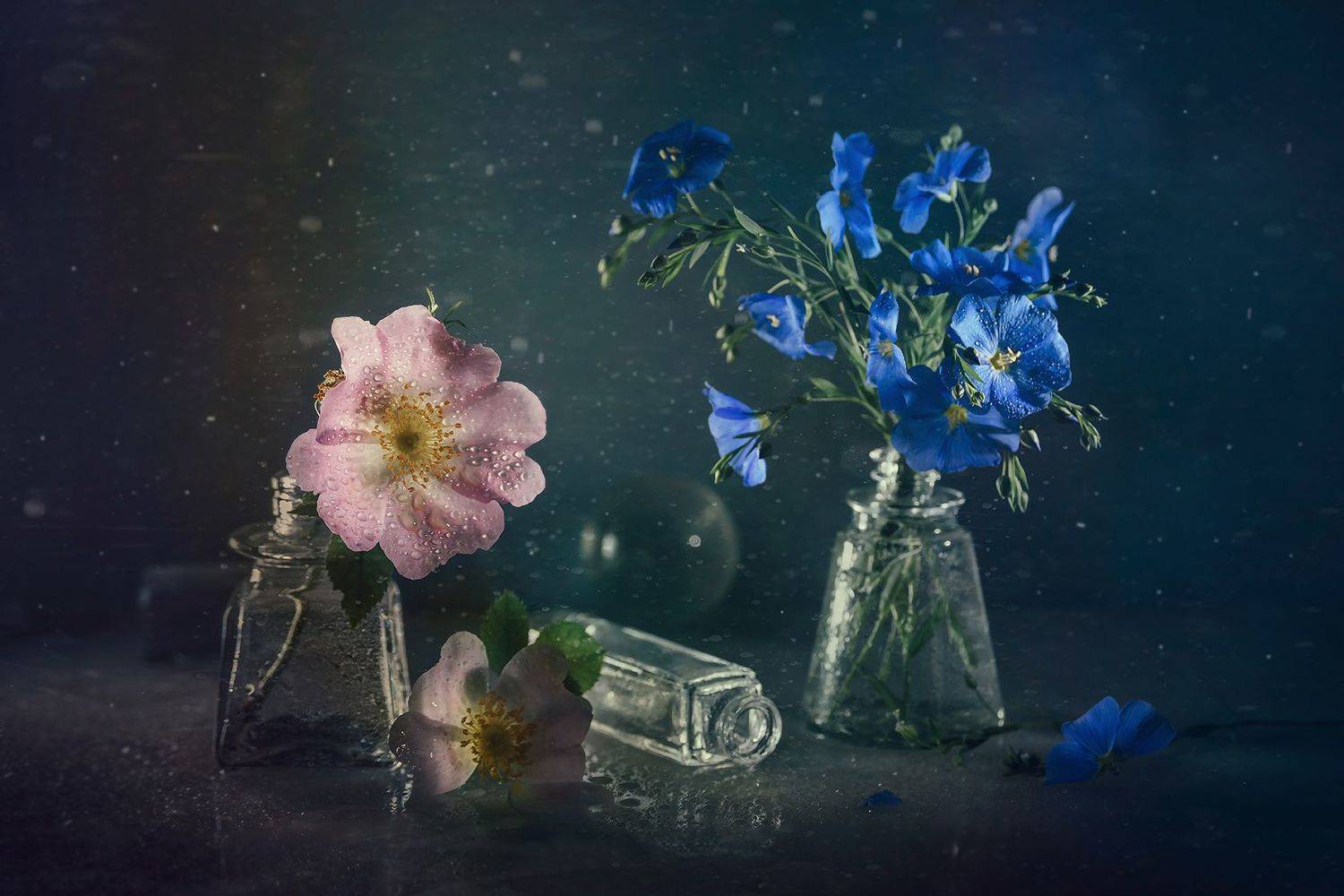 , MVO (Марк Орлов)