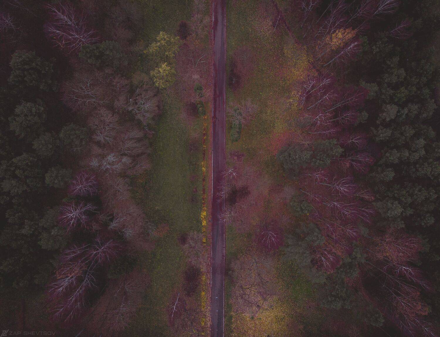 Аэрофото пейзаж город креативное необычное дрон река небо интересное профессиональное облака лето , Sergey Shevtsov