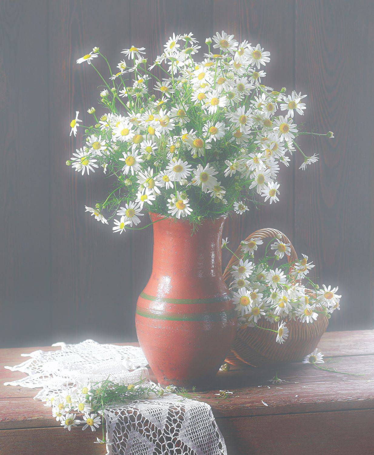 натюрморт, фотонатюрморт, лето, цветы, ромашки,  наталья казанцева, Наталья Казанцева