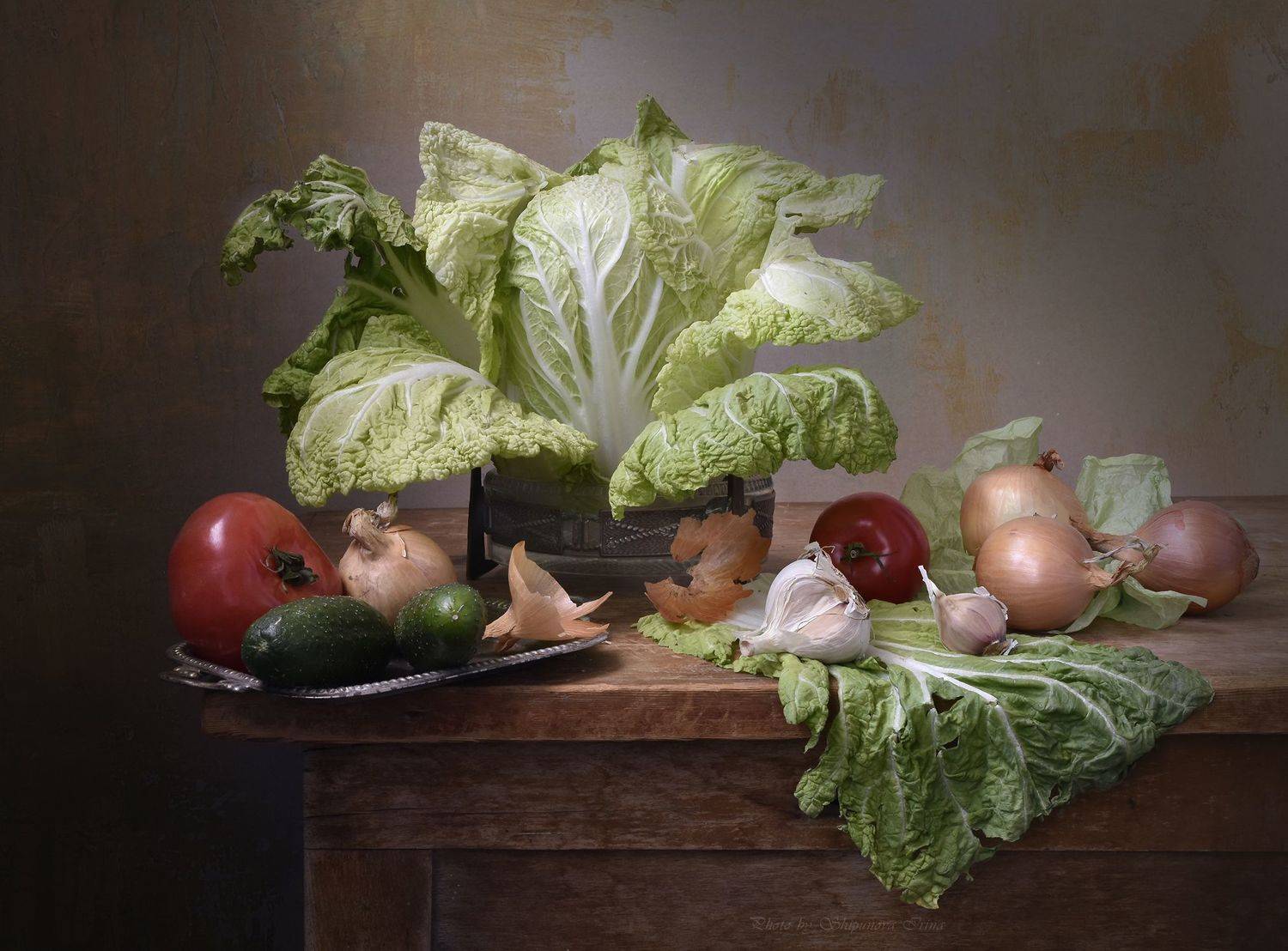 , Шипунова Ирина