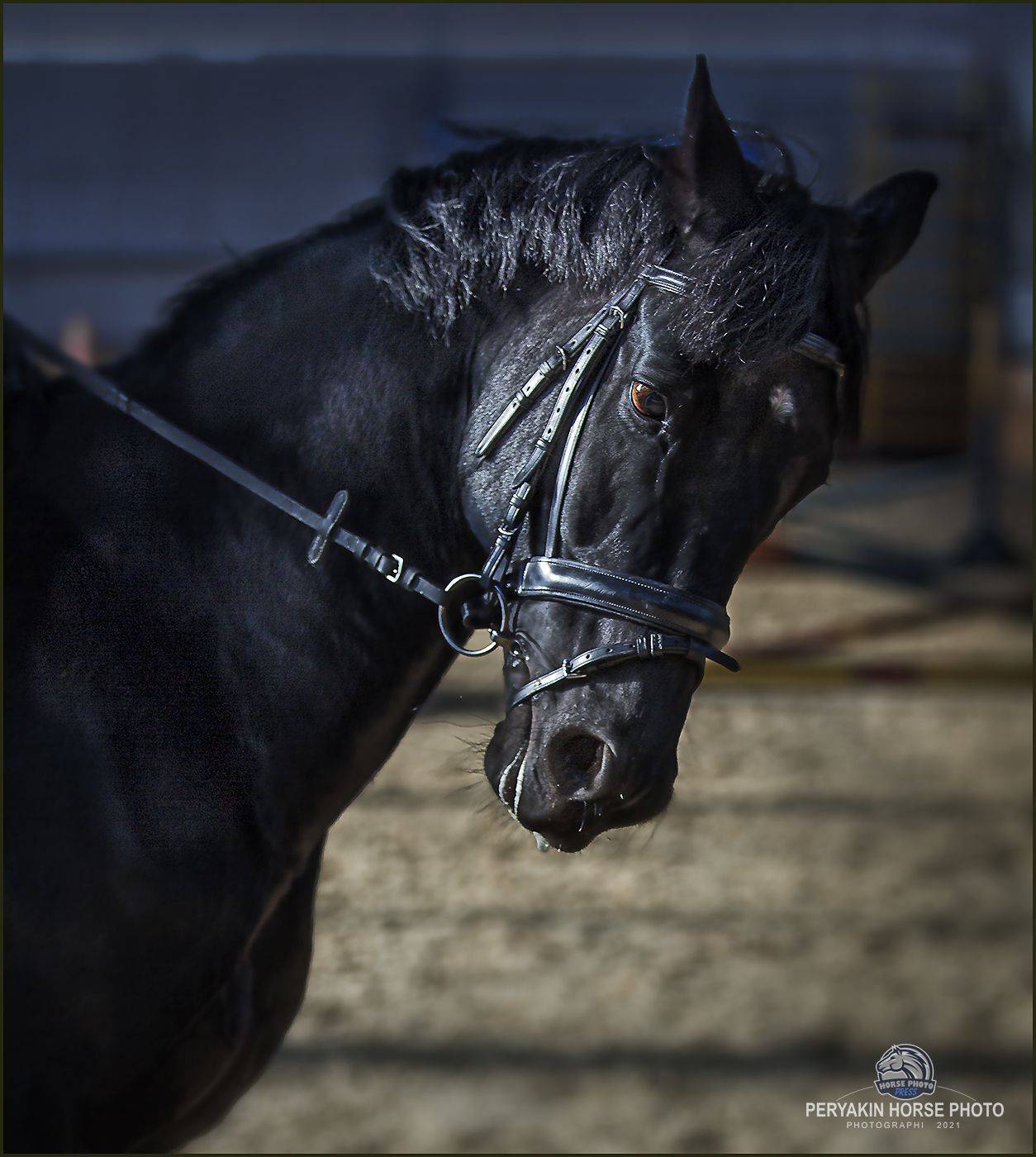 , Виктор Перякин