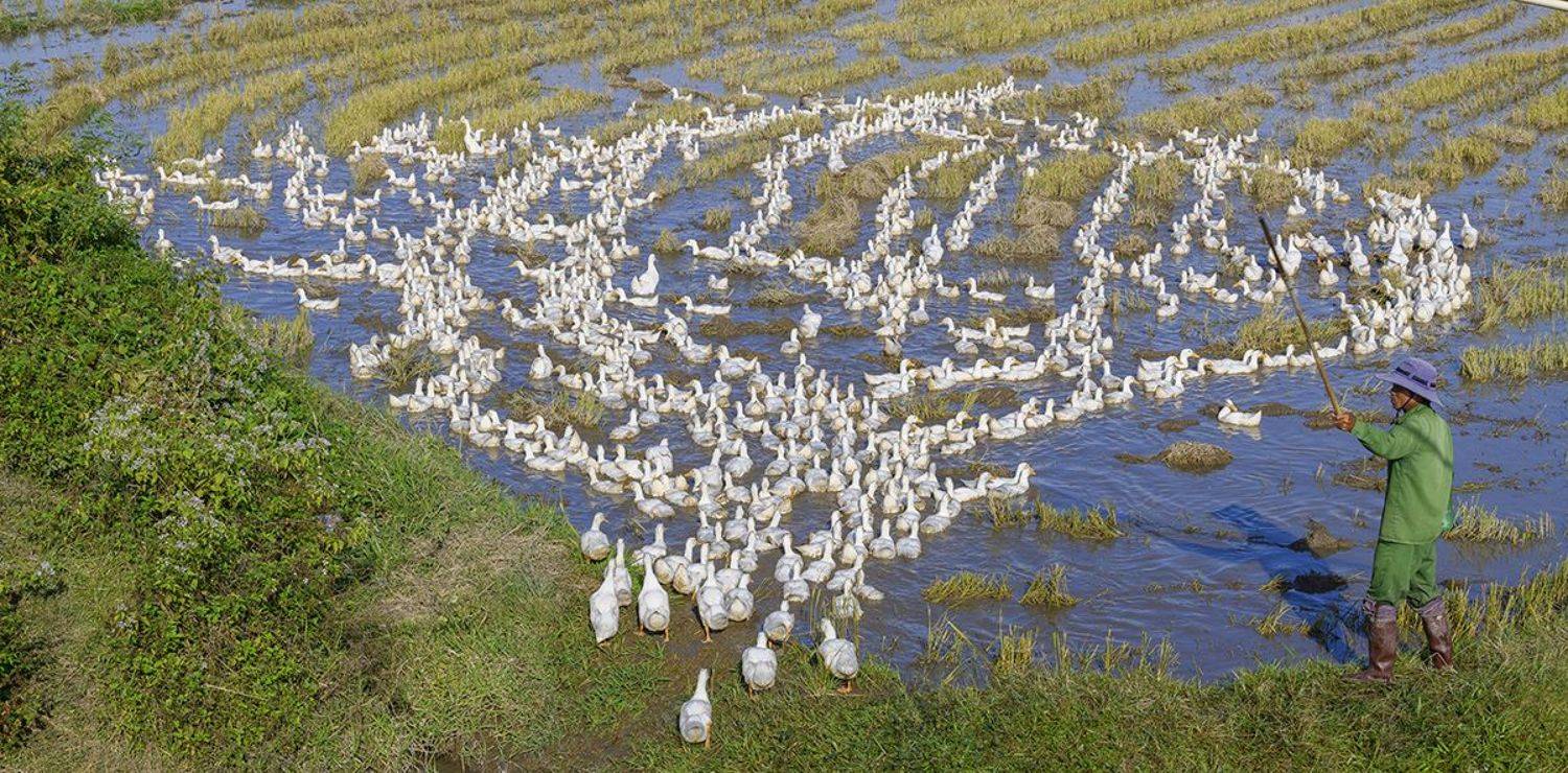 Street photography, travel photography, Ngọc V&acirc;n (Helena V&acirc;n) Nguyễn