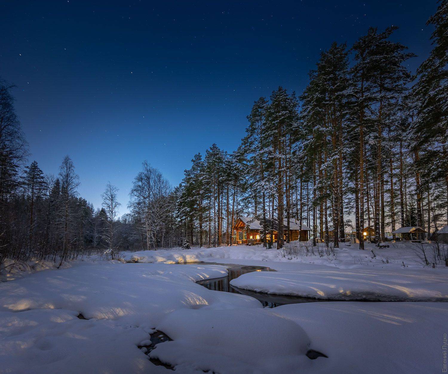 , Евгений Луцко