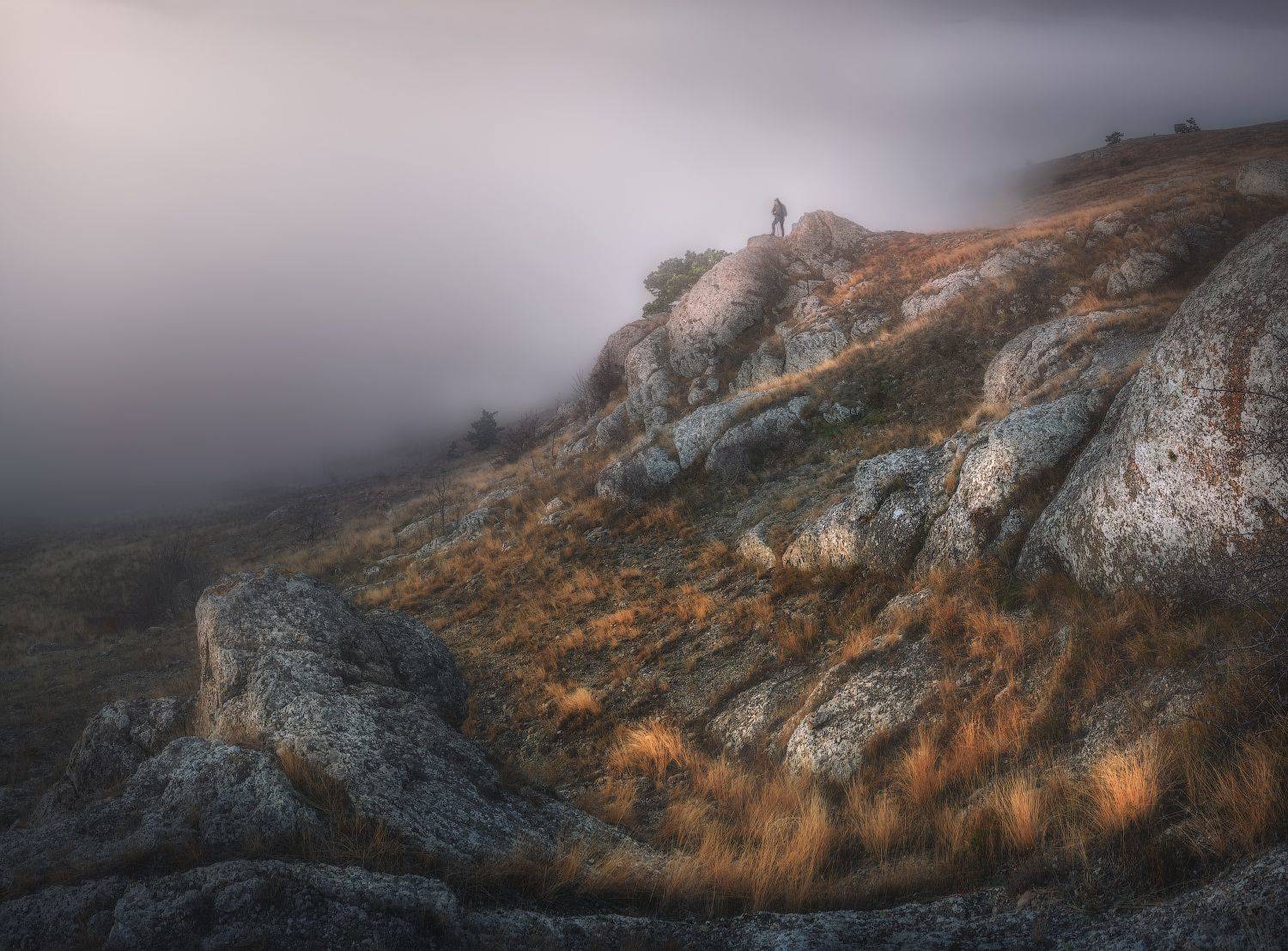 , Алексей Агеев