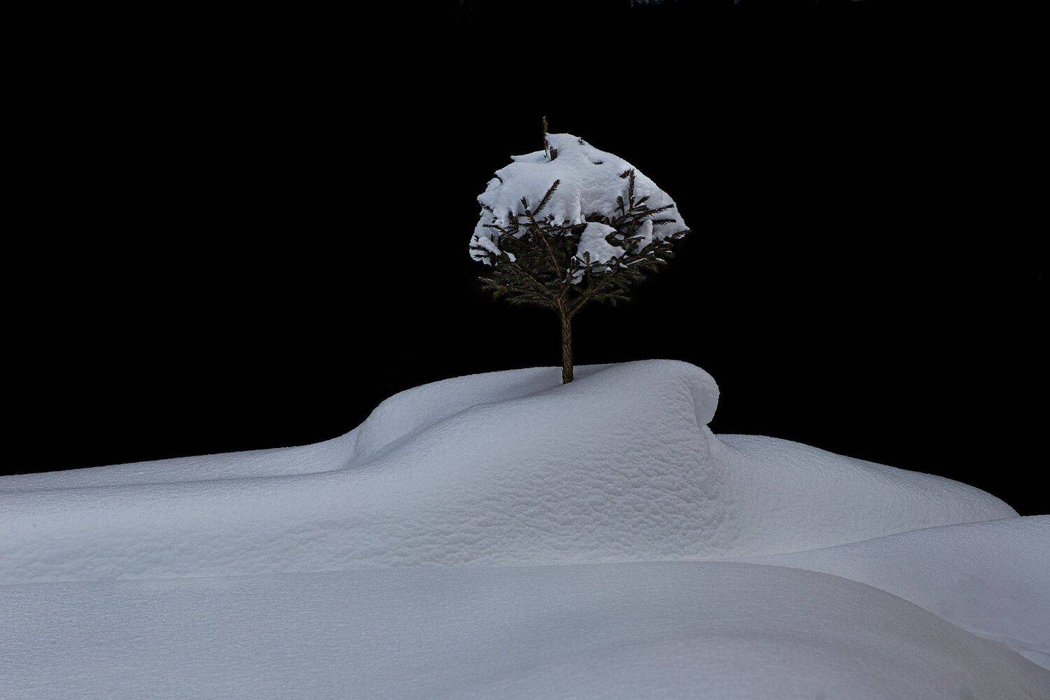 , Черновол Валентин