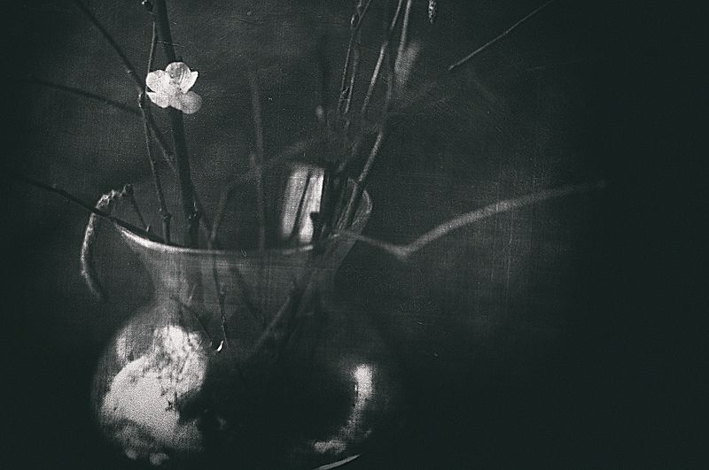 Предчувствие весны фото превью