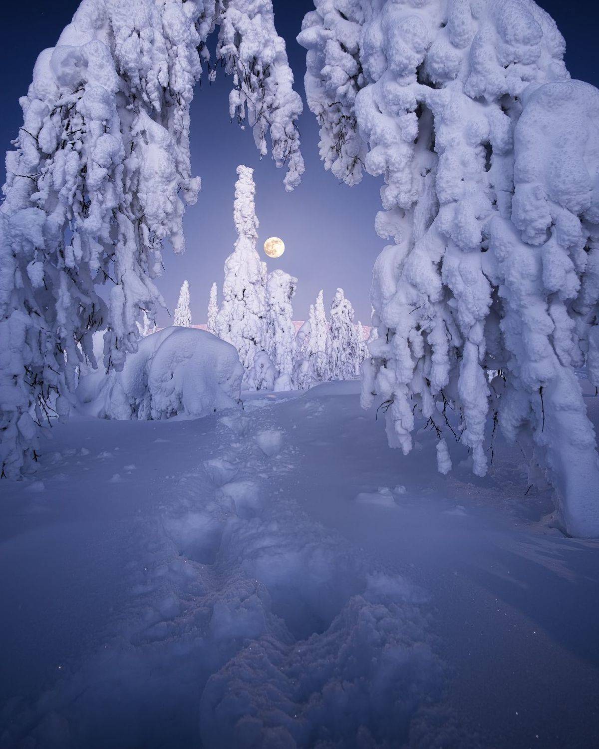 главный уральский хребет, гух, зима, урал, северный урал, Глеб Желтов
