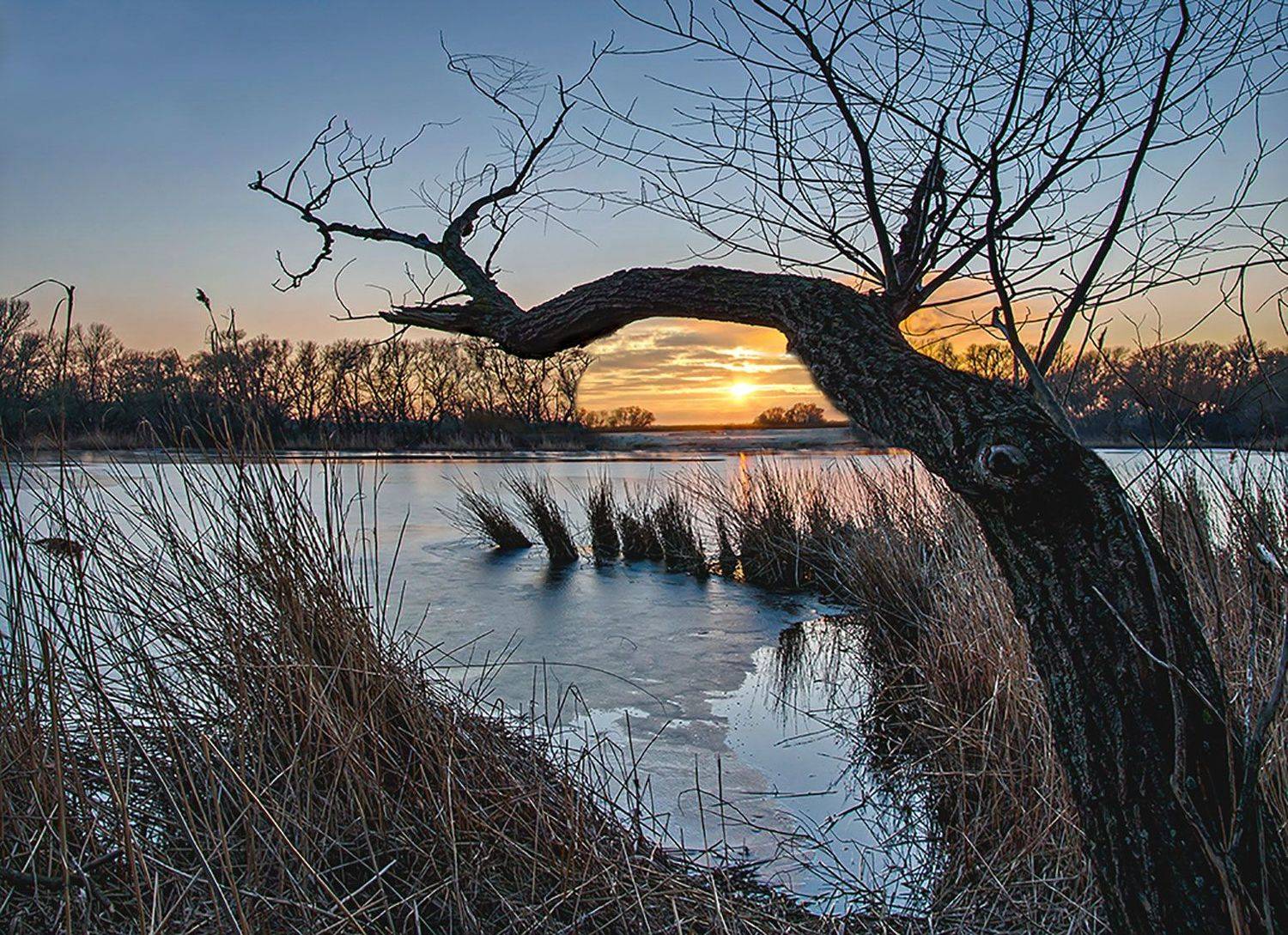 зима, январь, снег, лёд, камыш, закат, вечер, Валерий Наумов