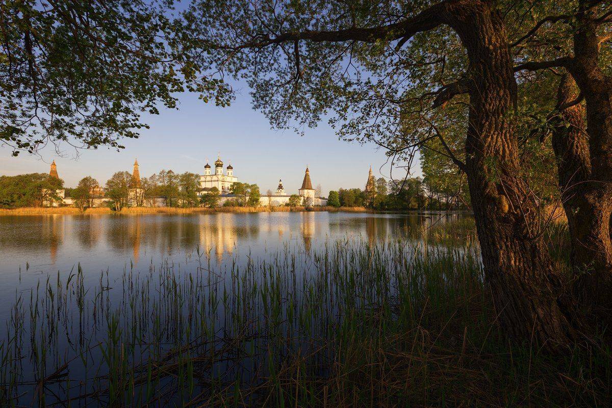 иосифо-волоцкий монастырь, московская область, Денис Сорокин