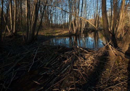 Pro 7 мгновений одного Мещёрского вечера…
