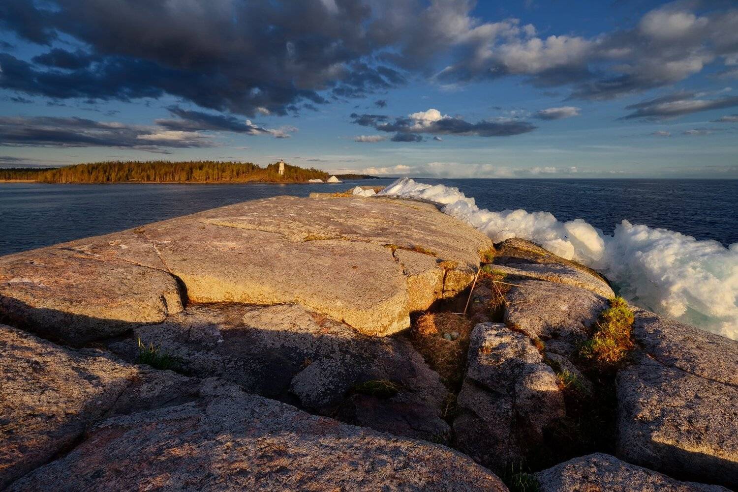 , Максим Евдокимов