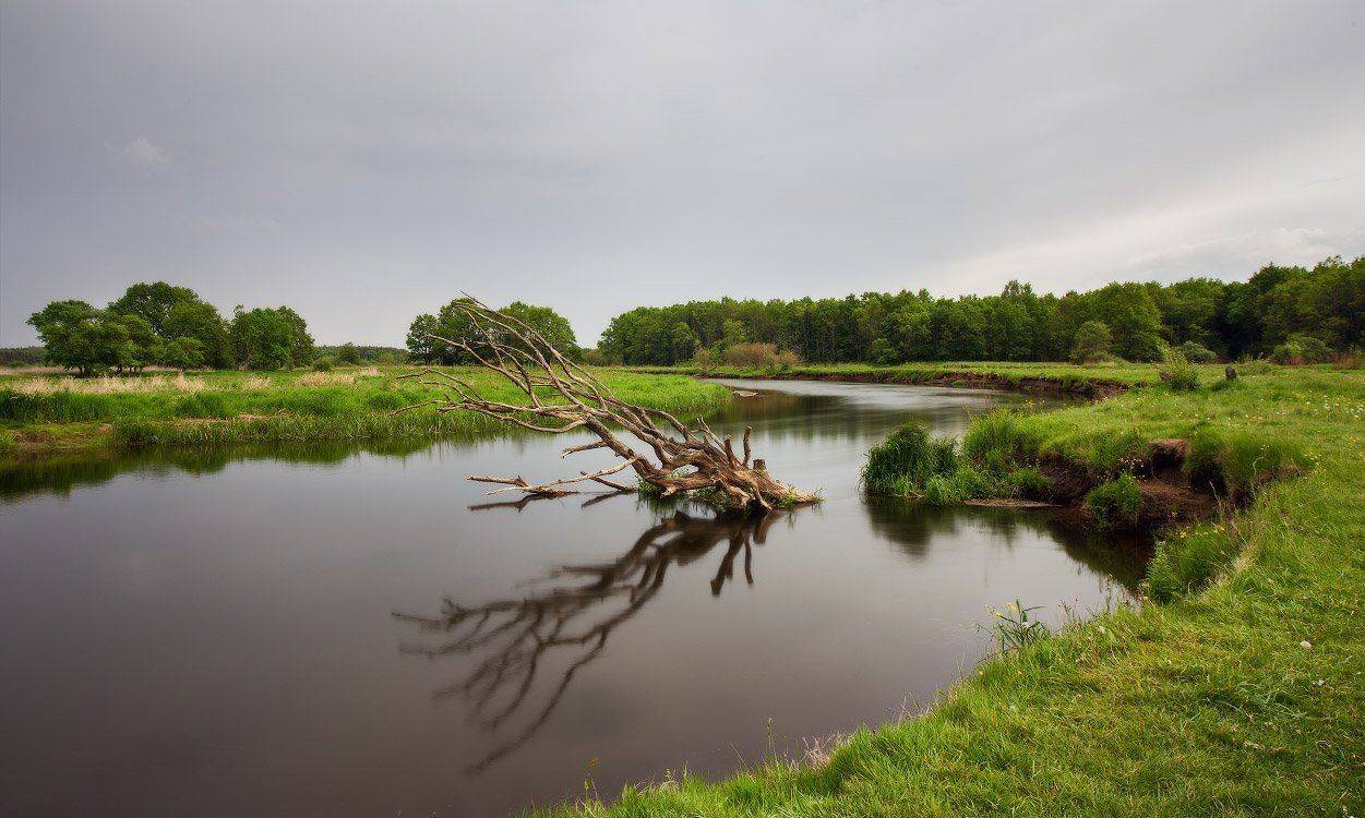 , Вейзе Максим