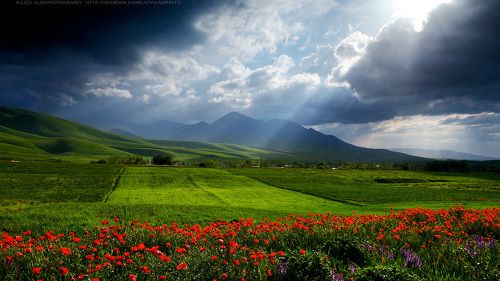 По ту сторону Зимы