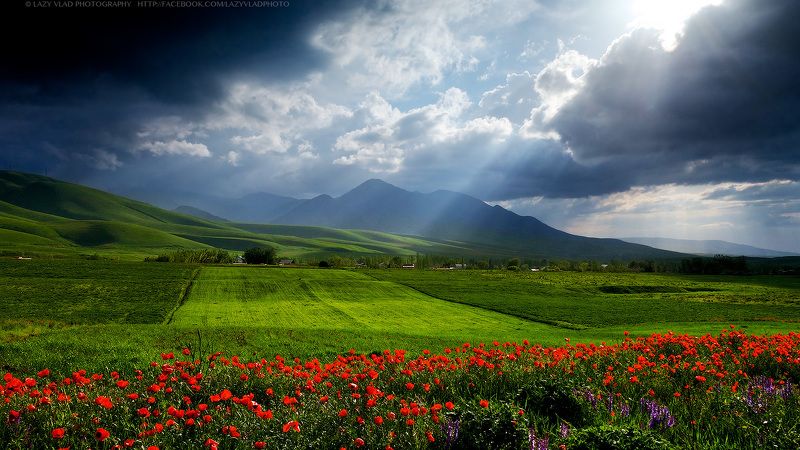 По ту сторону Зимы фото превью