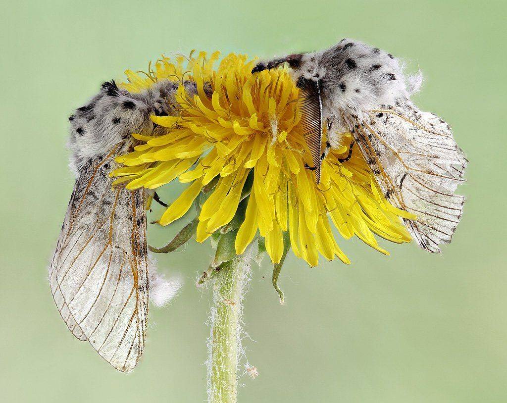 , Сергей Таланов