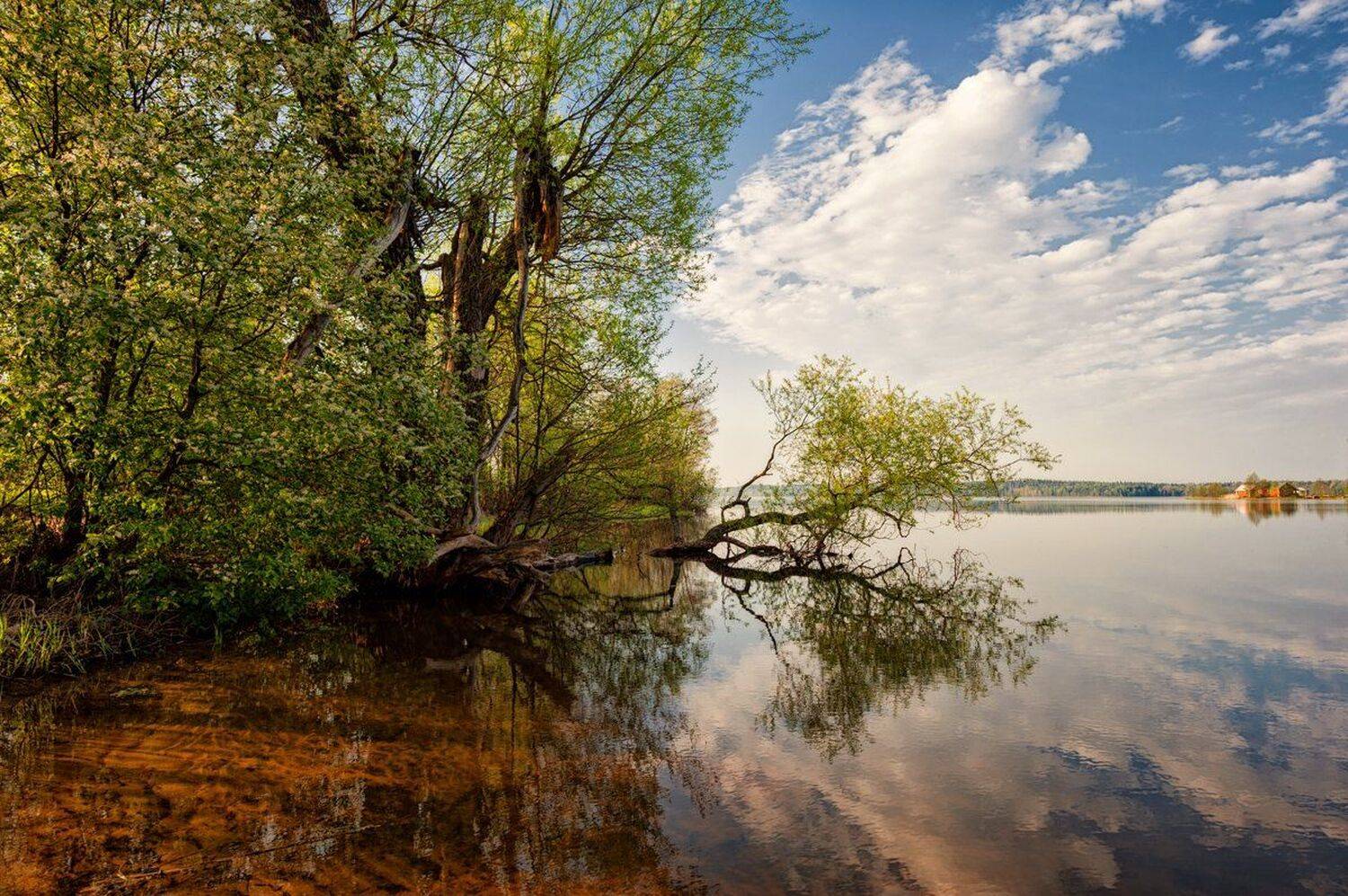 , Евгений Плетнев