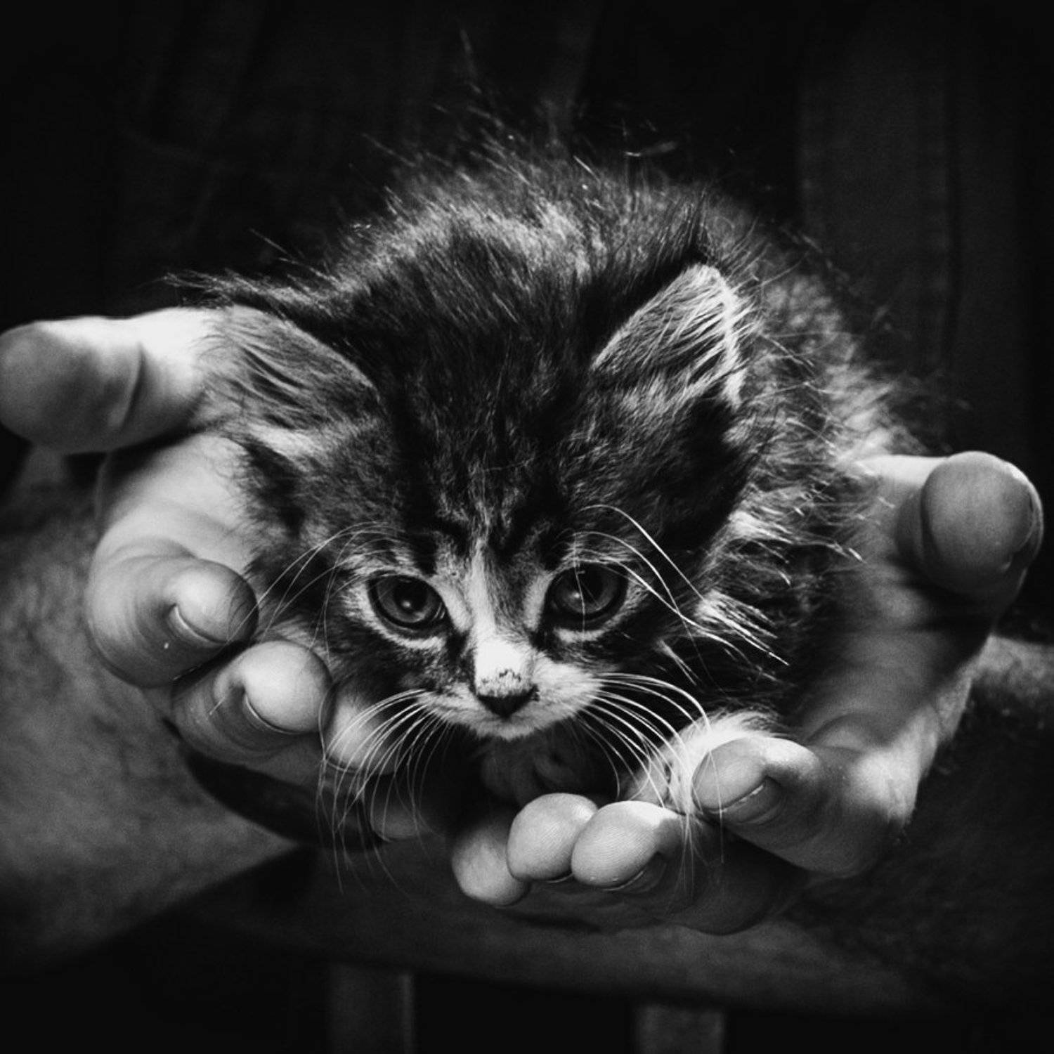 , Рустам Рахимов