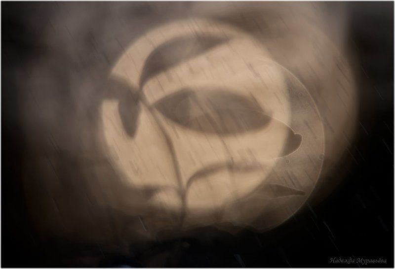 Барвинок, Дождь Плакал дождь фото превью