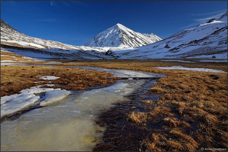 Алтай, Аня графова, Горный алтай, Горы, Елангаш, Май, Южно-чуйский хребет Весна в долине Елангаш фото превью
