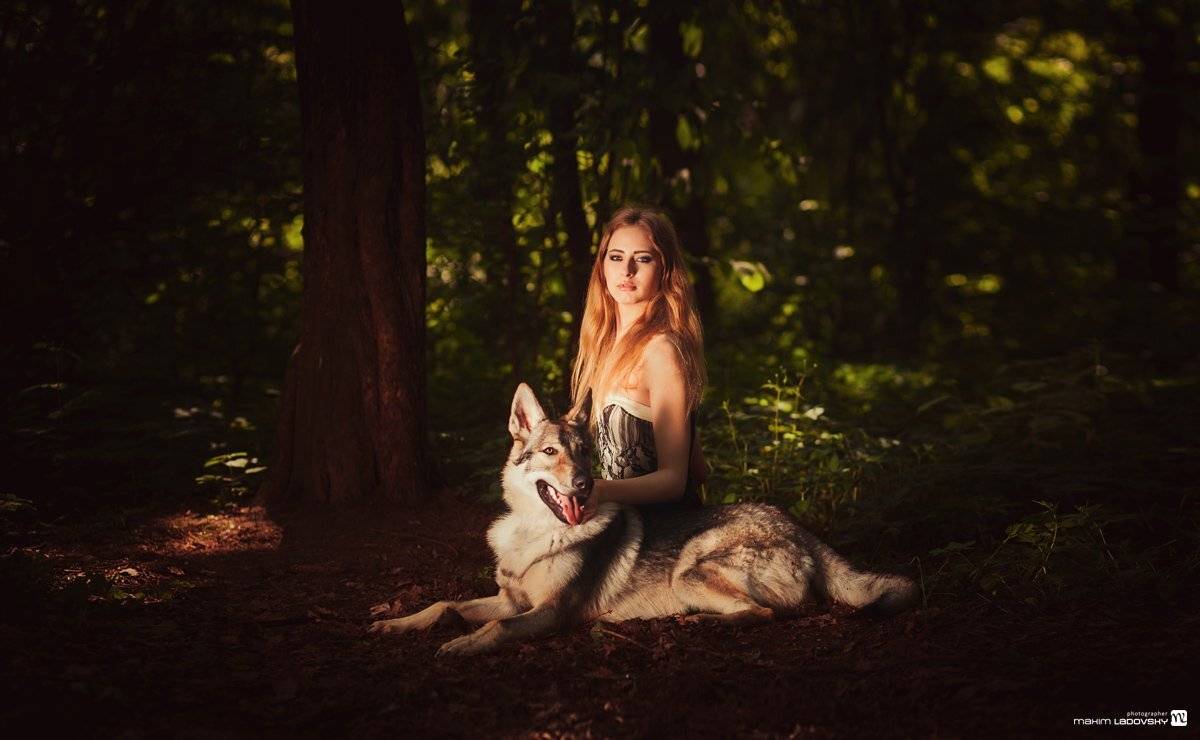 , Ладовский Максим