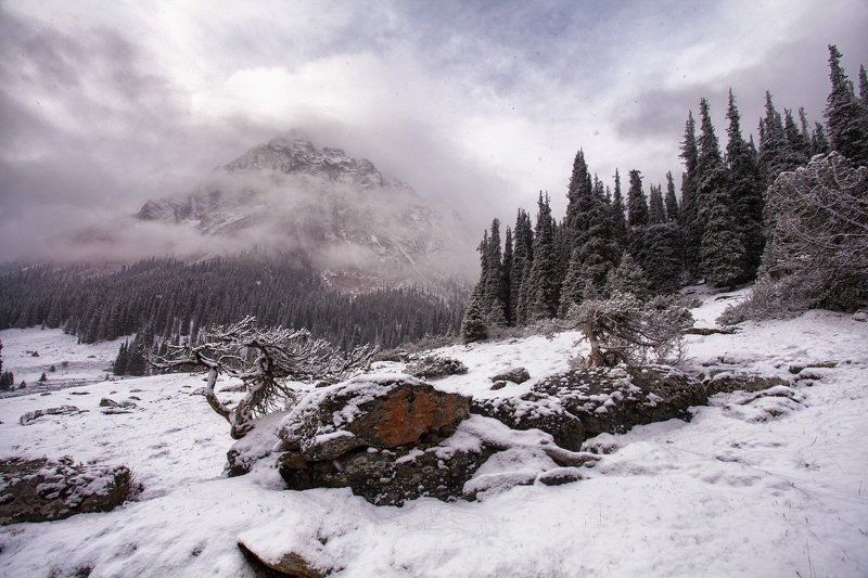 Киргизия. Долина реки Арашан фото превью