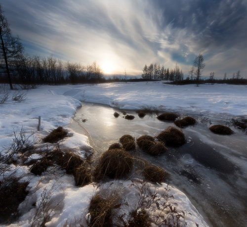 Про замерзшее болото...