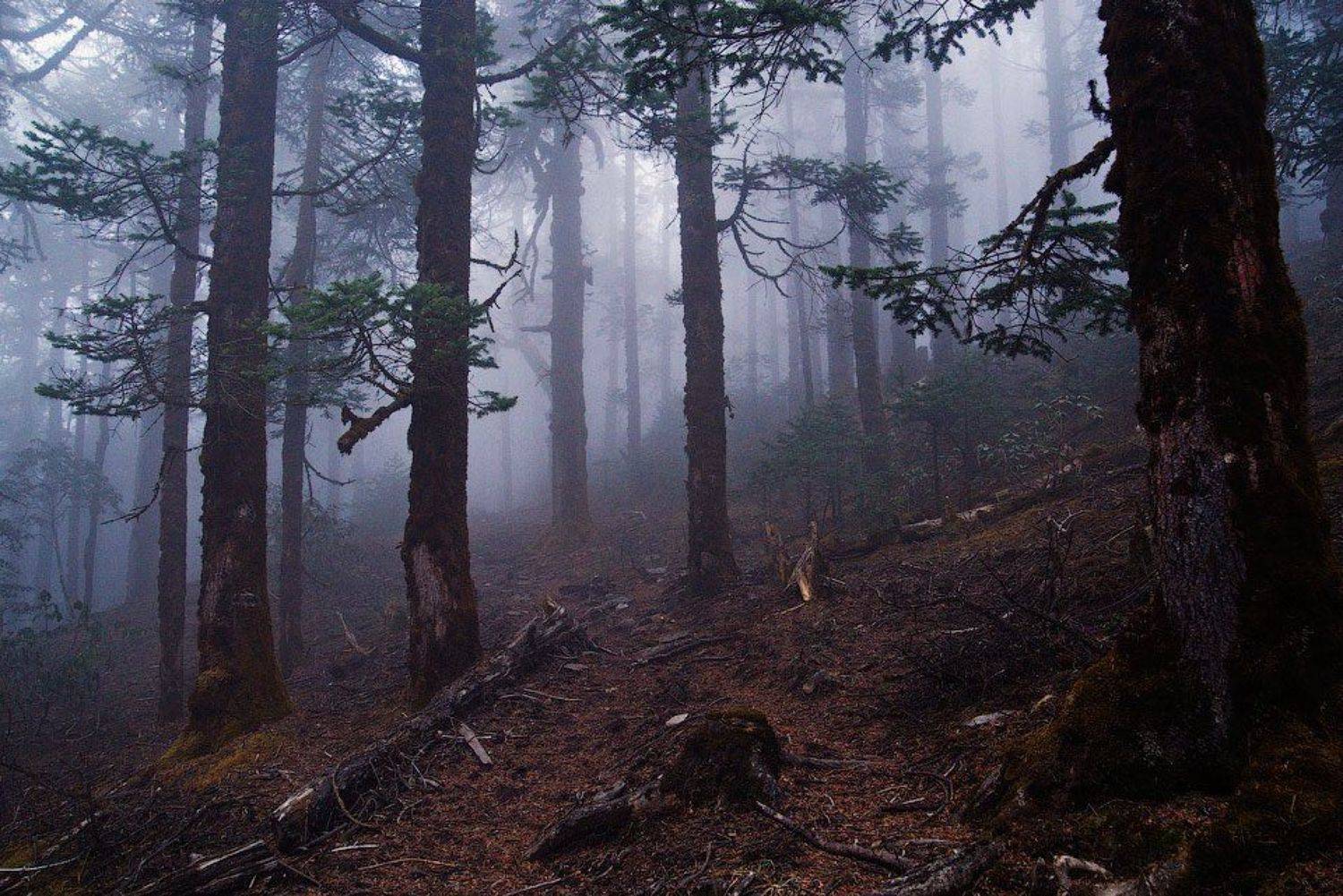 , Алексей Харитонов