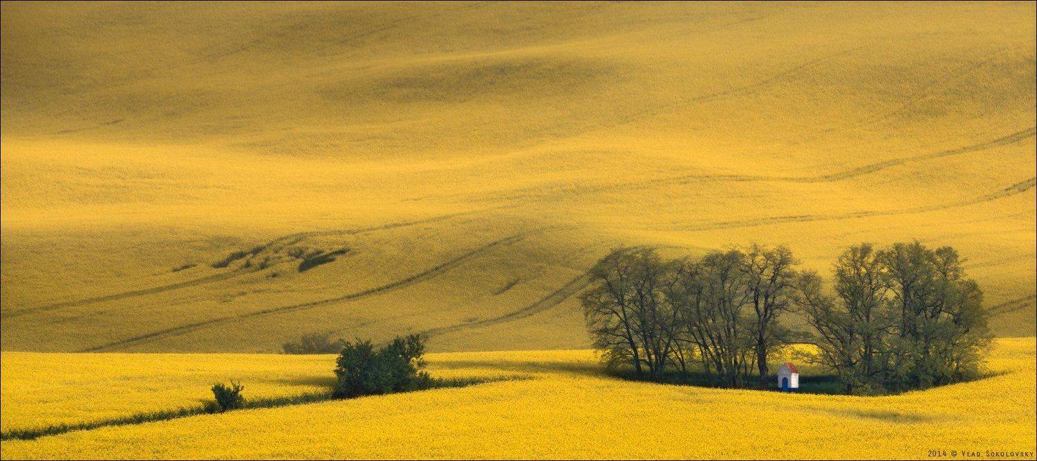 , Влад Соколовский