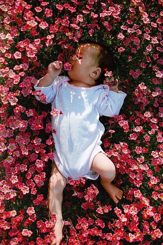 София фото превью