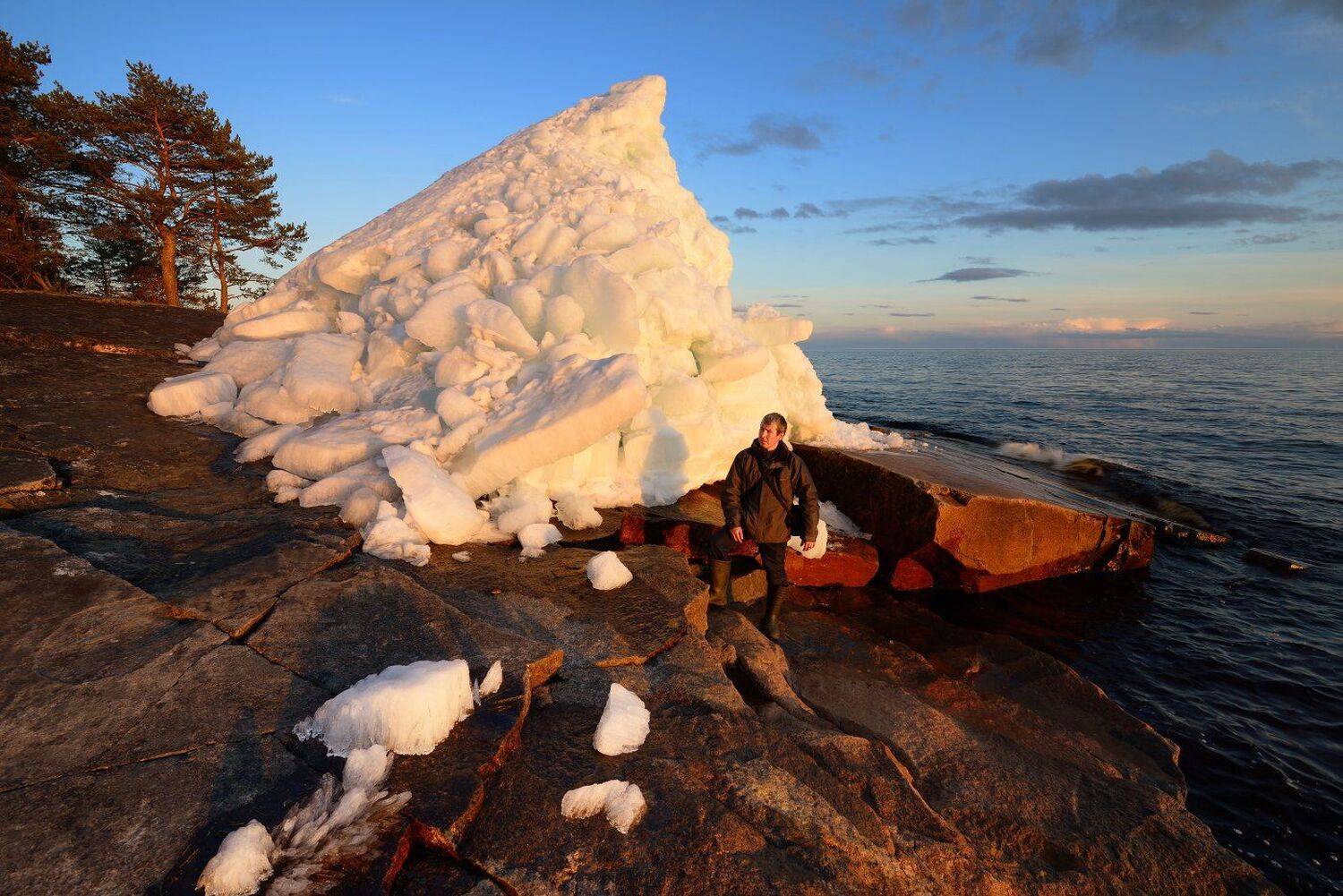 , Максим Евдокимов