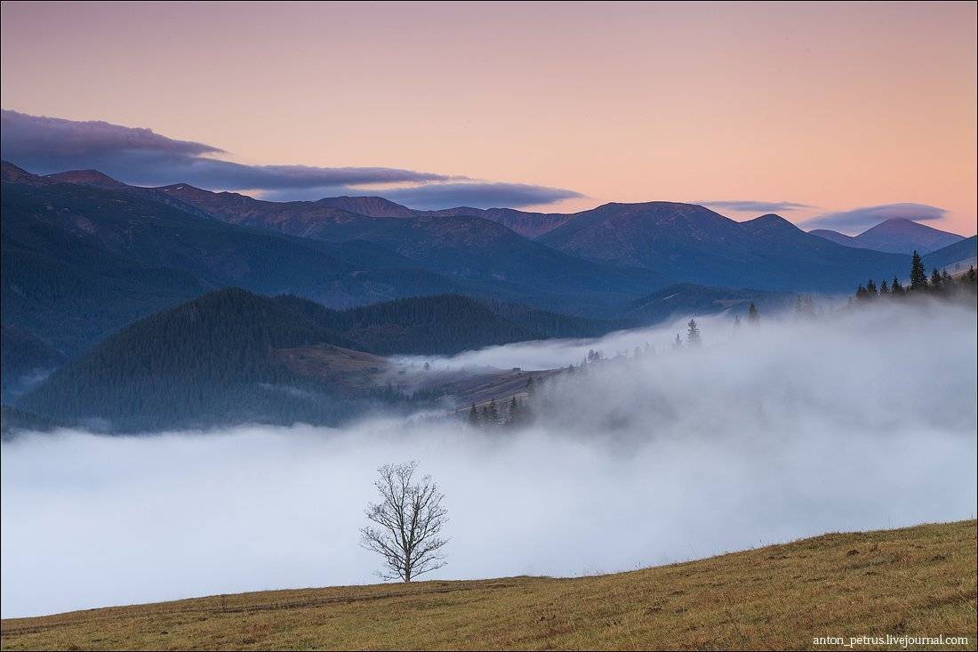 , Антон Петрусь