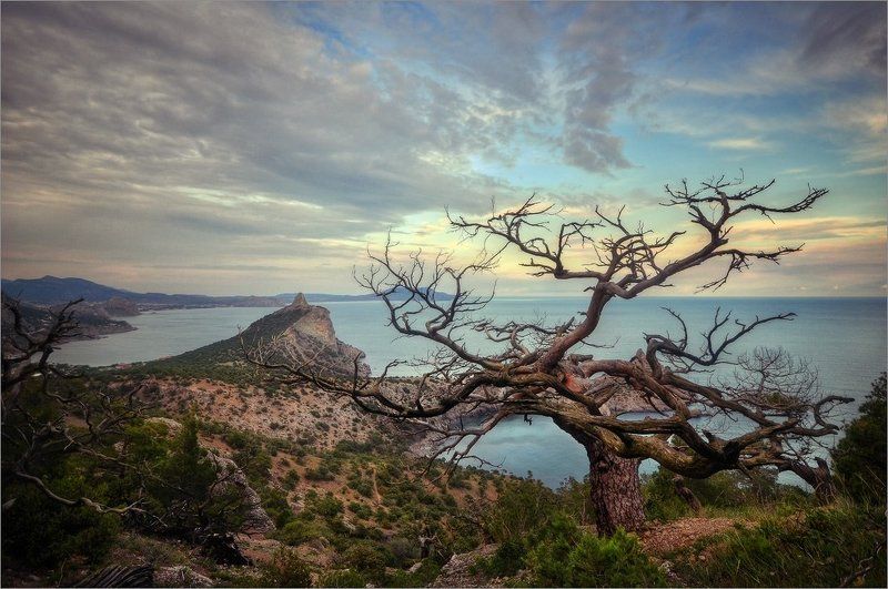 Переплетения фото превью