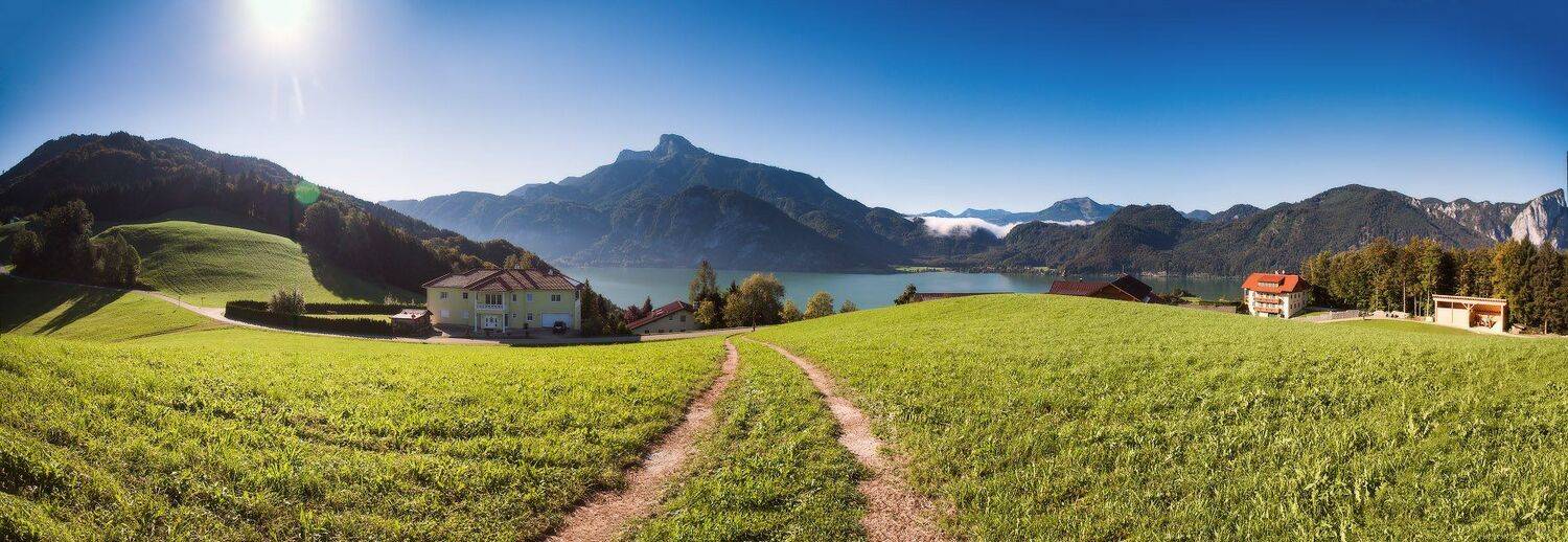 , Вейзе Максим