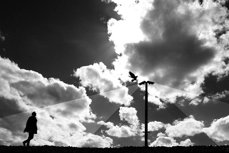 Bird, Clouds, concept, Conceptual, Milad safabakhsh, Miladsafabakhsh, Shadow, milad safabakhsh