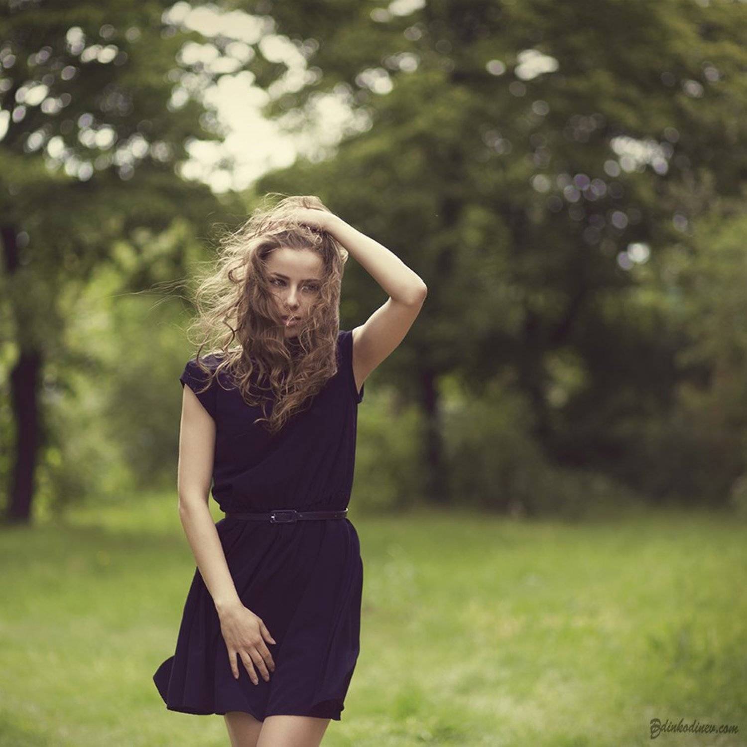 , Динко Динев