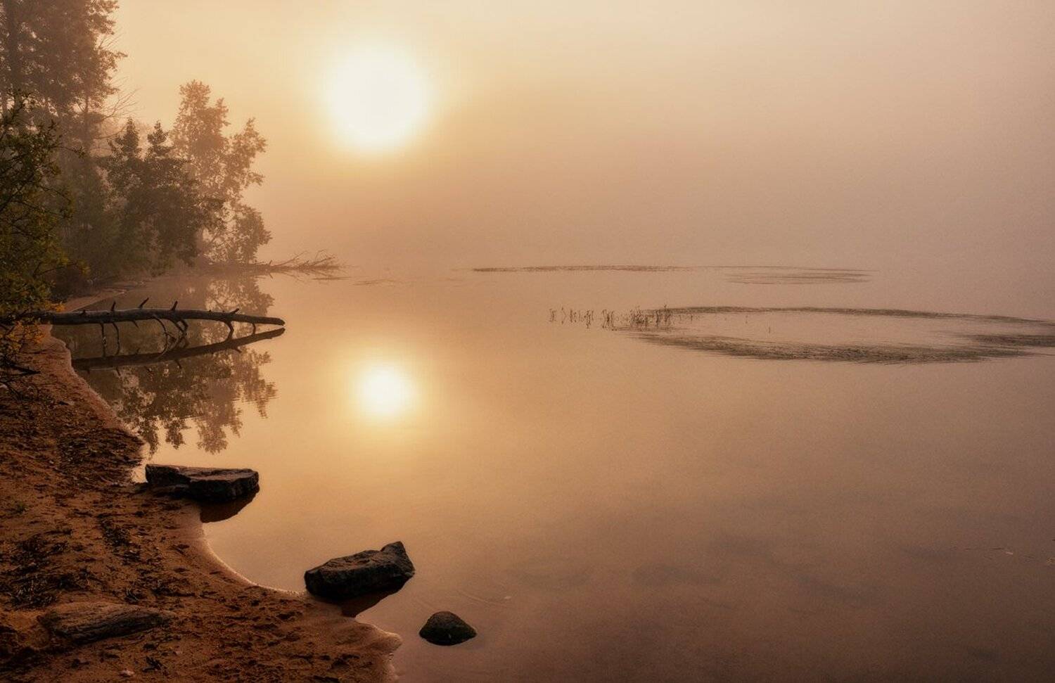 , Евгений Плетнев